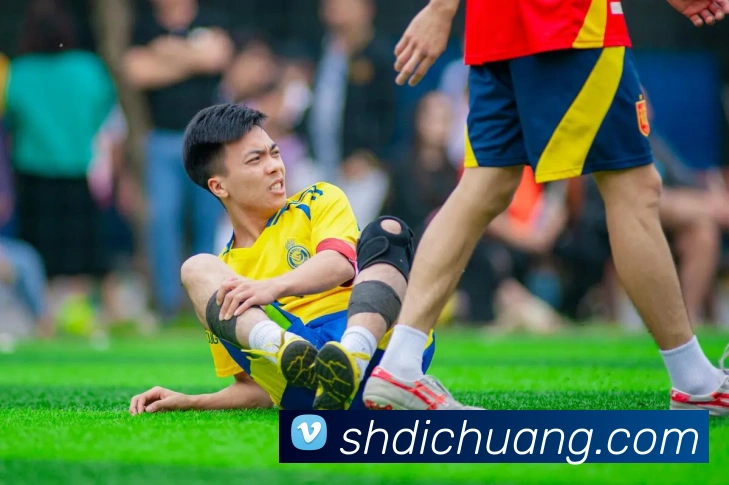 尊龙凯时APP 封面图