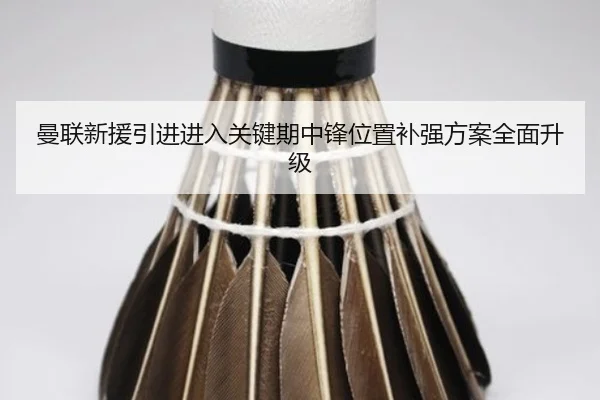 曼联新援引进进入关键期中锋位置补强方案全面升级